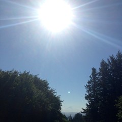 View from Council Crest toward Mt. Hood, which is visible