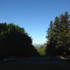 View from Council Crest toward Mt. Hood, which is visible