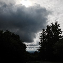View from Council Crest toward Mt. Hood, which is NOT visible
