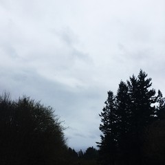 View from Council Crest toward Mt. Hood, which is NOT visible