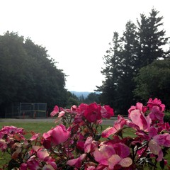 View from Council Crest toward Mt. Hood, which is NOT visible