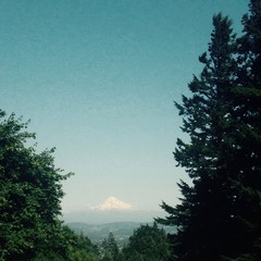 View from Council Crest toward Mt. Hood, which is visible