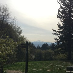 View from Council Crest toward Mt. Hood, which is visible