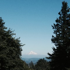 View from Council Crest toward Mt. Hood, which is visible
