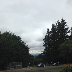 View from Council Crest toward Mt. Hood, which is NOT visible