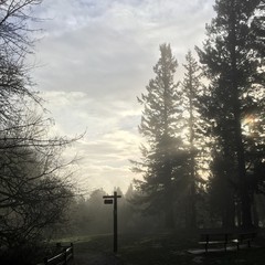 View from Council Crest toward Mt. Hood, which is NOT visible