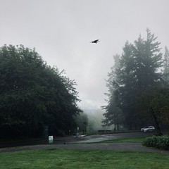 View from Council Crest toward Mt. Hood, which is NOT visible