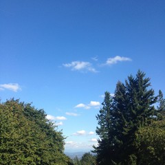 View from Council Crest toward Mt. Hood, which is NOT visible