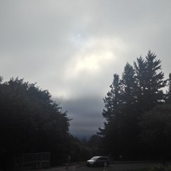 View from Council Crest toward Mt. Hood, which is NOT visible