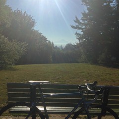 View from Council Crest toward Mt. Hood, which is visible
