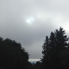 View from Council Crest toward Mt. Hood, which is NOT visible
