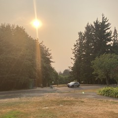 View from Council Crest toward Mt. Hood, which is NOT visible