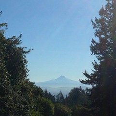 View from Council Crest toward Mt. Hood, which is visible