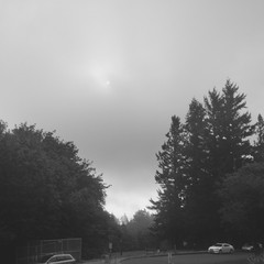 View from Council Crest toward Mt. Hood, which is NOT visible