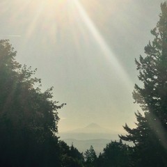 View from Council Crest toward Mt. Hood, which is visible