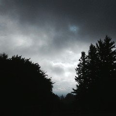 View from Council Crest toward Mt. Hood, which is NOT visible