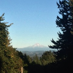 View from Council Crest toward Mt. Hood, which is visible