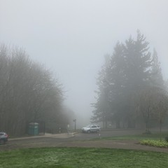 View from Council Crest toward Mt. Hood, which is NOT visible