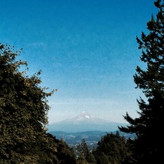 View from Council Crest toward Mt. Hood, which is visible
