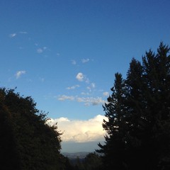 View from Council Crest toward Mt. Hood, which is NOT visible
