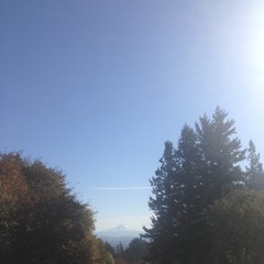 View from Council Crest toward Mt. Hood, which is visible