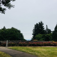 View from Council Crest toward Mt. Hood, which is NOT visible