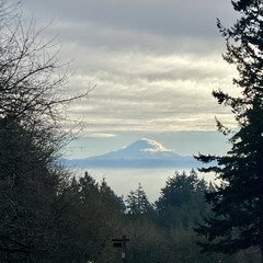 View from Council Crest toward Mt. Hood, which is visible