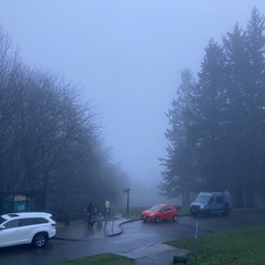 View from Council Crest toward Mt. Hood, which is NOT visible