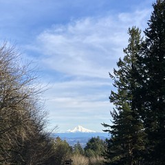 View from Council Crest toward Mt. Hood, which is visible