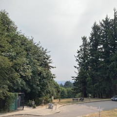 View from Council Crest toward Mt. Hood, which is NOT visible