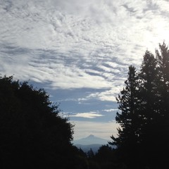 View from Council Crest toward Mt. Hood, which is visible