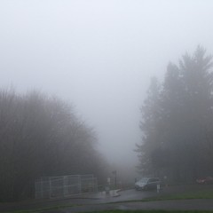 View from Council Crest toward Mt. Hood, which is NOT visible