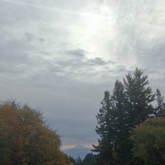 View from Council Crest toward Mt. Hood, which is visible