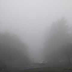 View from Council Crest toward Mt. Hood, which is NOT visible