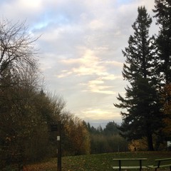 View from Council Crest toward Mt. Hood, which is visible
