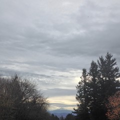 View from Council Crest toward Mt. Hood, which is visible