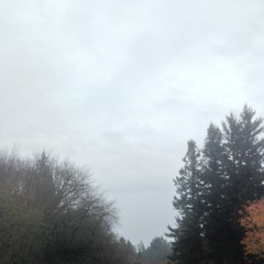 View from Council Crest toward Mt. Hood, which is NOT visible