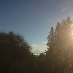View from Council Crest toward Mt. Hood, which is visible
