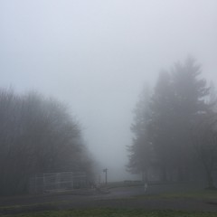 View from Council Crest toward Mt. Hood, which is NOT visible