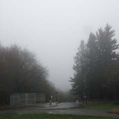 View from Council Crest toward Mt. Hood, which is NOT visible