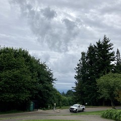 View from Council Crest toward Mt. Hood, which is NOT visible