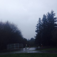 View from Council Crest toward Mt. Hood, which is NOT visible