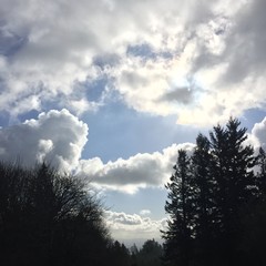 View from Council Crest toward Mt. Hood, which is NOT visible