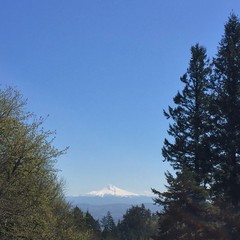 View from Council Crest toward Mt. Hood, which is visible