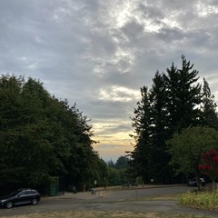 View from Council Crest toward Mt. Hood, which is NOT visible