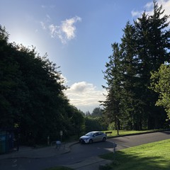 View from Council Crest toward Mt. Hood, which is NOT visible