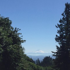 View from Council Crest toward Mt. Hood, which is visible
