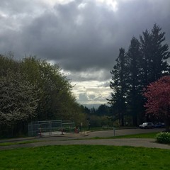 View from Council Crest toward Mt. Hood, which is NOT visible