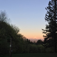 View from Council Crest toward Mt. Hood, which is visible
