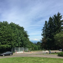 View from Council Crest toward Mt. Hood, which is visible